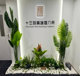 9月21日，深圳市十三妹高端婚介服务有限公司在福田CBD轻盈启幕。这里没有传统的商务拘谨，更像是一场老友的聚会。花艺茶香间，城市精英们轻声畅谈，沙龙区围坐分享，每一处细节都透着温暖与共鸣的气息。