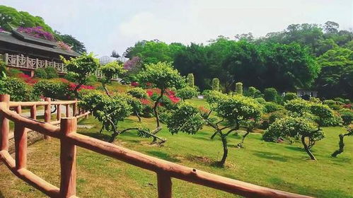 厦门园林植物园 闽南大地的绿色明珠