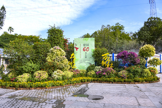 厦门植物园风景