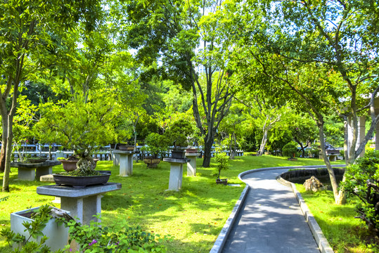 公园绿植景观
