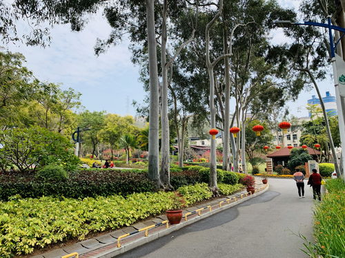 厦门市内大型公园,春季繁花盛开,还有儿童游乐区,全部免费开放 金尚路