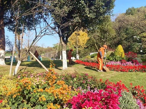 缤纷花色驻街头 精品绿化景观为 良渚论坛 增添活力