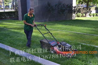 南宁提供可信赖的园林绿化工程 防城港园林景观公司,南宁提供可信赖的园林绿化工程 防城港园林景观公司生产厂家,南宁提供可信赖的园林绿化工程 防城港园林景观公司价格
