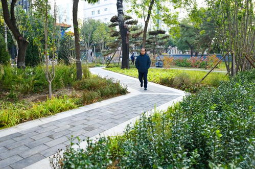 永定门南望景观视廊提升,燕墩西望公园开园