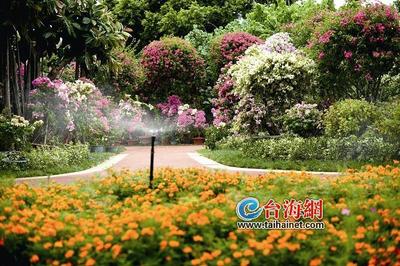 移步易景美如画 厦门道路“颜值高”