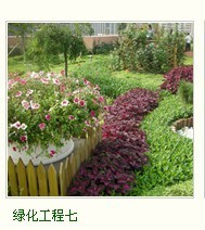 【】厦门最好的景观设计公司找厦门伯乐景0592 | 厦门伯乐景园林景观