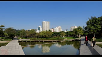 厦门海湾公园风景二 10p