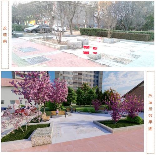 城事 天津人家门口大变样 涉及公园 医院 道路 加装电梯......
