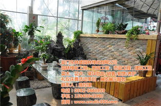 厦门鲜切花鲜花电话,龙海花卉图片 ,厦门鲜切花鲜花高清图片 高清大图