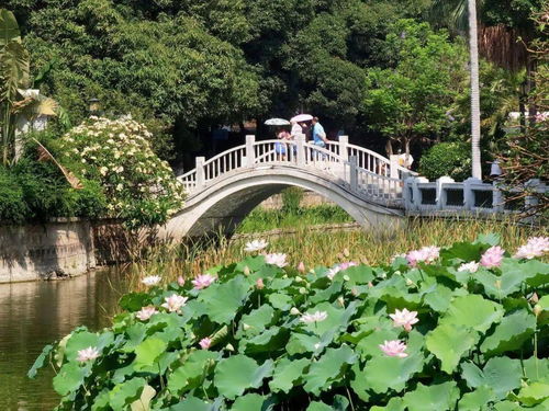 确定了 厦门中山公园,要大变了