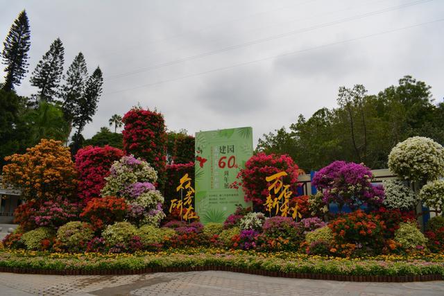 全国唯一!厦门植物园成为国家三角梅种质资源库