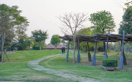 免费打卡温泉 煮温泉蛋,这座公园在哪你造吗