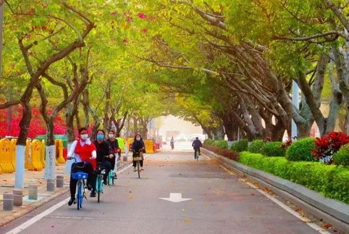 出门见绿,人在园中 厦门市荣获 国家生态园林城市 称号