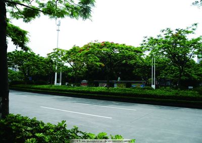 厦门马路图片