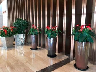 厦门专业绿植租摆防腐木工程,园林绿化养护,景观设计