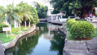 厦门杏东公园风景摄影