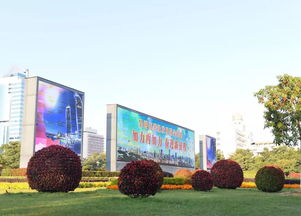 美翻 椰风花海 主题园林造景...厦门又美出了新高度