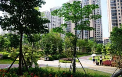 集美全面加快园林绿化提升步伐