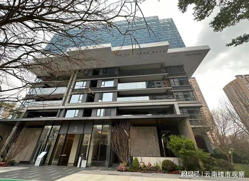 2个月只卖了3套房,昆明这个高端项目短板在哪