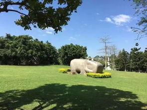 元旦去哪儿 厦门最好玩免费景点全攻略,拿好不谢