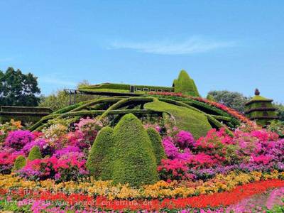 福建莆田绿雕立体花坛莆田植物绿雕景观工程